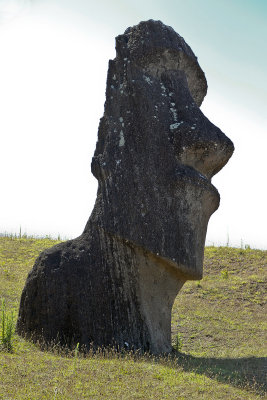 Huge standing moai 