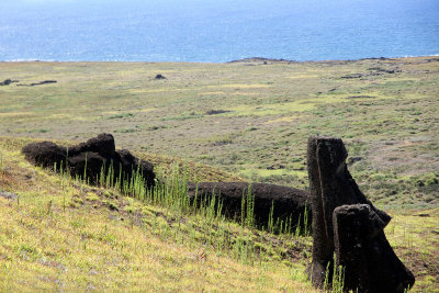 Collapsed & upright moai 