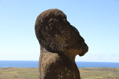 Tuhuturi, an unusual kneeling maoi with different head, from side. Some think he was an early moai.
