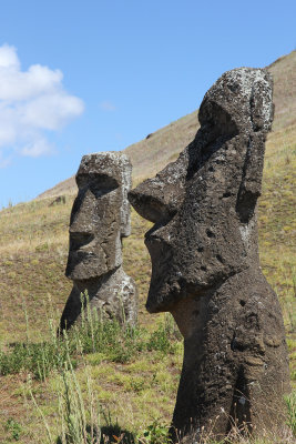 Quarry - 2 large moai on slope with blue sky 