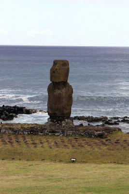 Tahai was a ceremonial complex; think this is Vai Ure moai