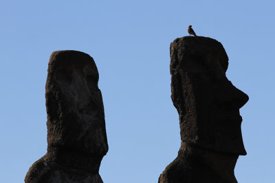 2 moai 1 bird Tongariki