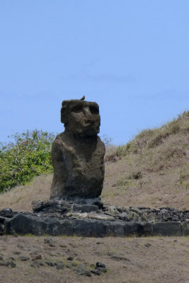 One moai & one bird, Anakena Beach