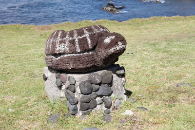 Turtle along shoreline, Hanga Piko to cemetery