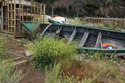 Boats & flowers even better - and good to see re-building after the big 2010 tsunami.