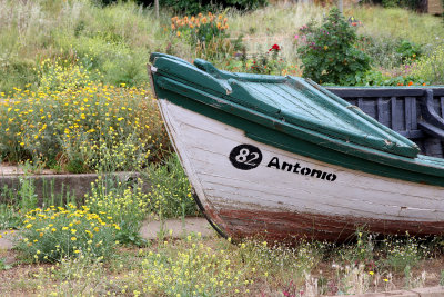 Boats and flowers.