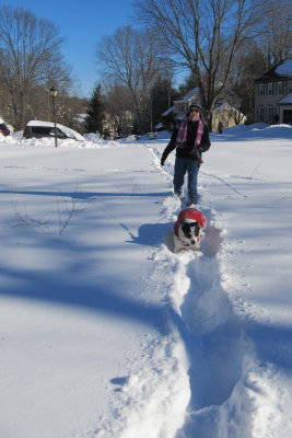 Shelby and Joe trudging up the hill on path made by fabulous neighbor Peter. Street got cleared 3 hrs. before we got home.