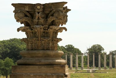 Single column with others in back (on Eagle Nest Rd nearby - shot out the window)