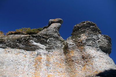 Some people see a camel, some see lichen.We were told about the flora, fauna & limited wildlife on the island. 