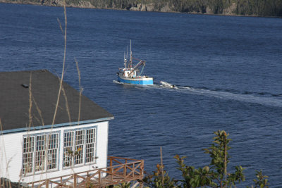 Back in the car & on to Woody Point, where I saw this fishing boat.