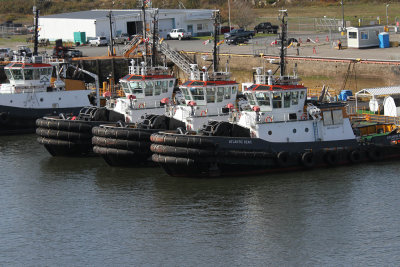 Tugs in SJ harbor