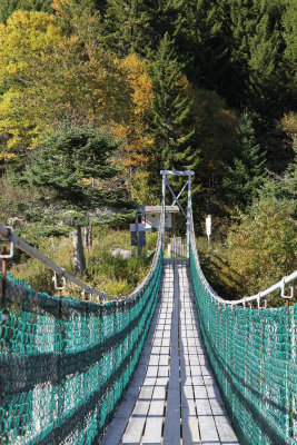 Suspension bridge