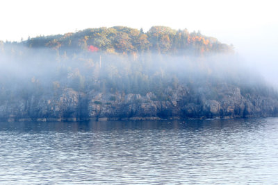  Some people didn't like the fog but hey, it's early morning in coastal Maine in October!  I knew it would burn off. 
