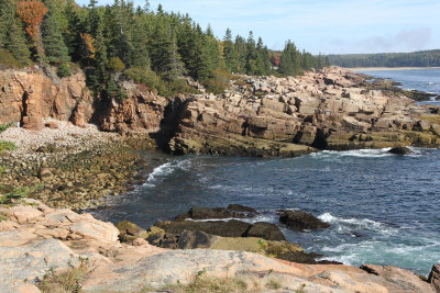 Tendered & walked a couple blocks to catch the free Explorer bus to Loop Road for rocky cliff views