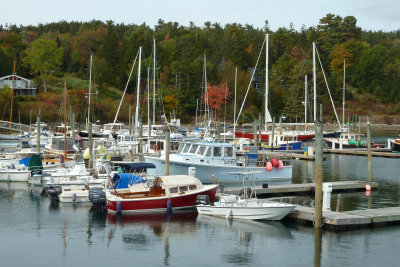 Northeast Harbor, Acadia