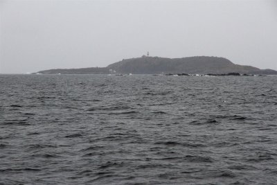 Sequin Island used to have a tram up the hill, with scary history.  Island is in one of the foggiest places in the U.S.