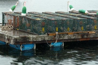 Traps at BBH 