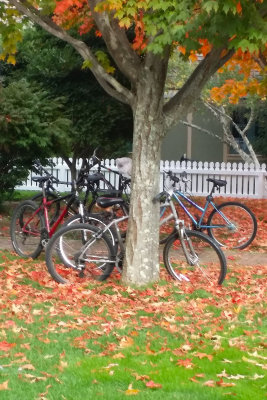 Bikes & leaves with watercolor effect