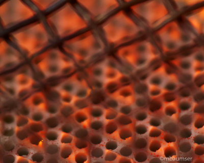 Pattern Fade