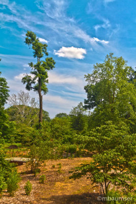 Untitled_HDR2.jpg