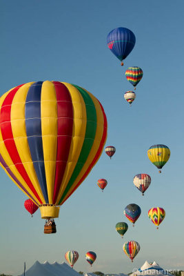 2013 Balloon Festival (3938)