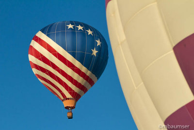 2013 Balloon Festival (4002)