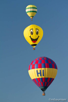2013 Balloon Festival (4054)