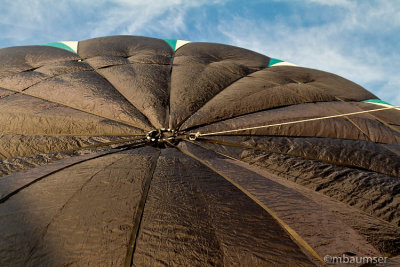 2013 Balloon Festival (4219)