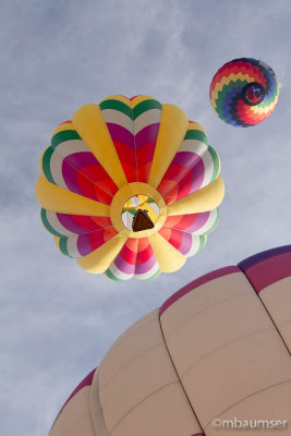 2013 Balloon Festival (4291)