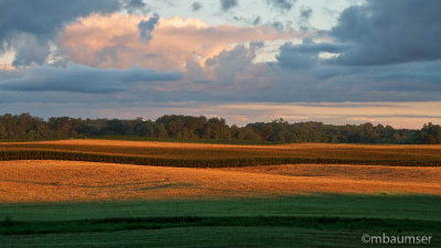 Field In Cayuga County