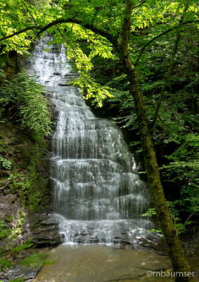 Falls At Fillmore Glen State Park 55058