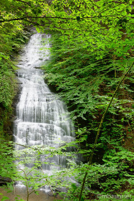 Falls At Fillmore Glen State Park 55070