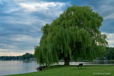 Island Park Owasco 54867