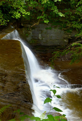 Falls At Fillmore Glen State Park 55111