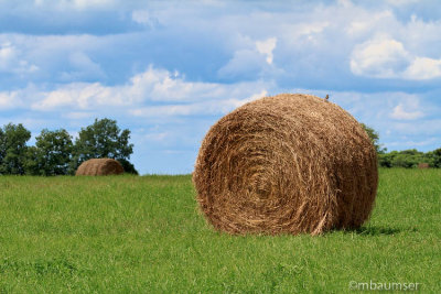 Hay Bales In THe Finger Lakes 55123