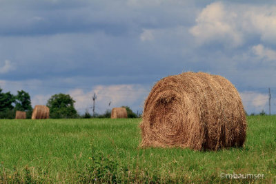 Hay Bales In The Finger Lakes 55128