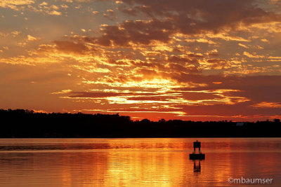 Sunset On Lake Cayuga 55137
