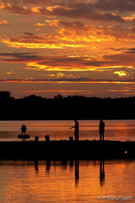 Sunset On Lake Cayuga 55163