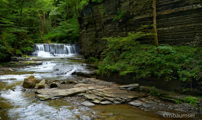 Falls At Fillmore Glen State Park 55106