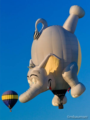 2013 Balloon Festival (54100)