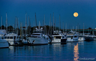 The Harvest Moon