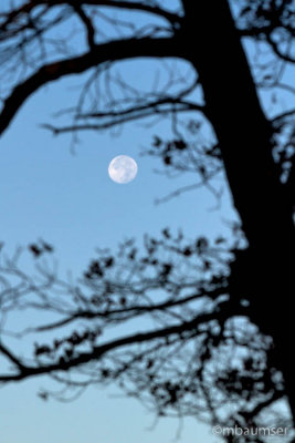 Moon set Near Crater Lake