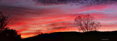 Sunrise In Binghamton (pano)