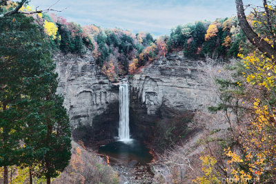 Taughannock Falls 59503