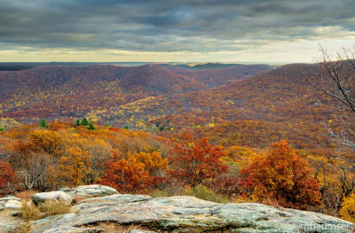 Bear Mountain 60048