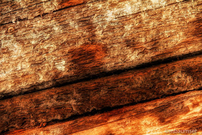Abstract In Wood 60578