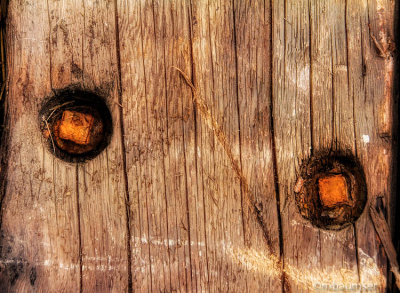 Abstract In Wood 60582