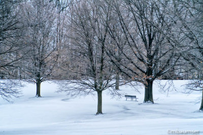 Plainfield West Nine After The Snow