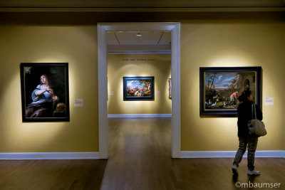 New Orleans Museum Of Art 62039
