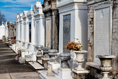 St Louis Cemetery #3 62083